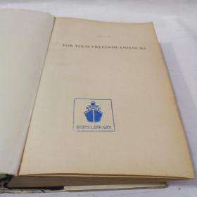 FOR YOUR FREEDOM AND OURS（THE KOSCIUSZKO SQUADRON: FORGOTTEN HEROES OF WORLD WAR II)     为了你们和我们的自由(KOSCIUSZKO中队:被遗忘的二战英雄)