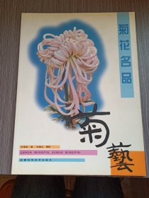 菊花名品