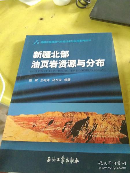 新疆北部油页岩资源与分布