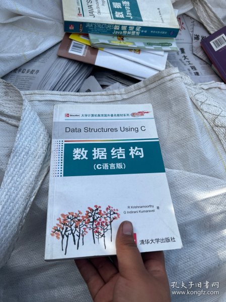 大学计算机教育国外著名教材系列：数据结构（C语言版）（影印版）