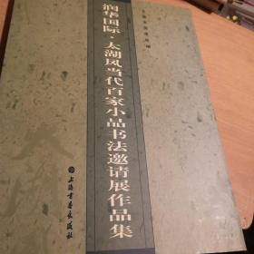 润华国际·太湖风当代百家小品书法邀请展作品集16开九五品G画一区