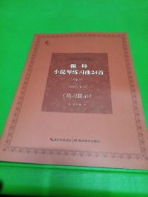 顿特小提琴练习曲24首Op.35 练习提示