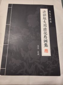 许朝旭大写意花鸟画集封底折角