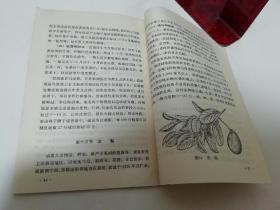 热带作物栽培‘农业生产基本知识’（彩画封面多插图，农业出版社改编，1974年初版）2022.6.2日上