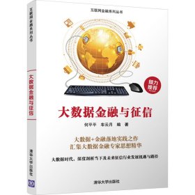 大数据金融与征信/互联网金融系列丛书