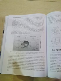 电化学传感器的构建与应用