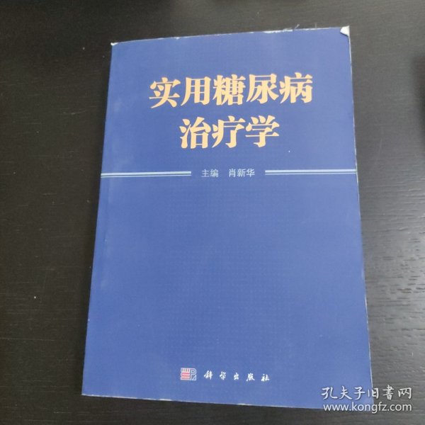 实用糖尿病治疗学