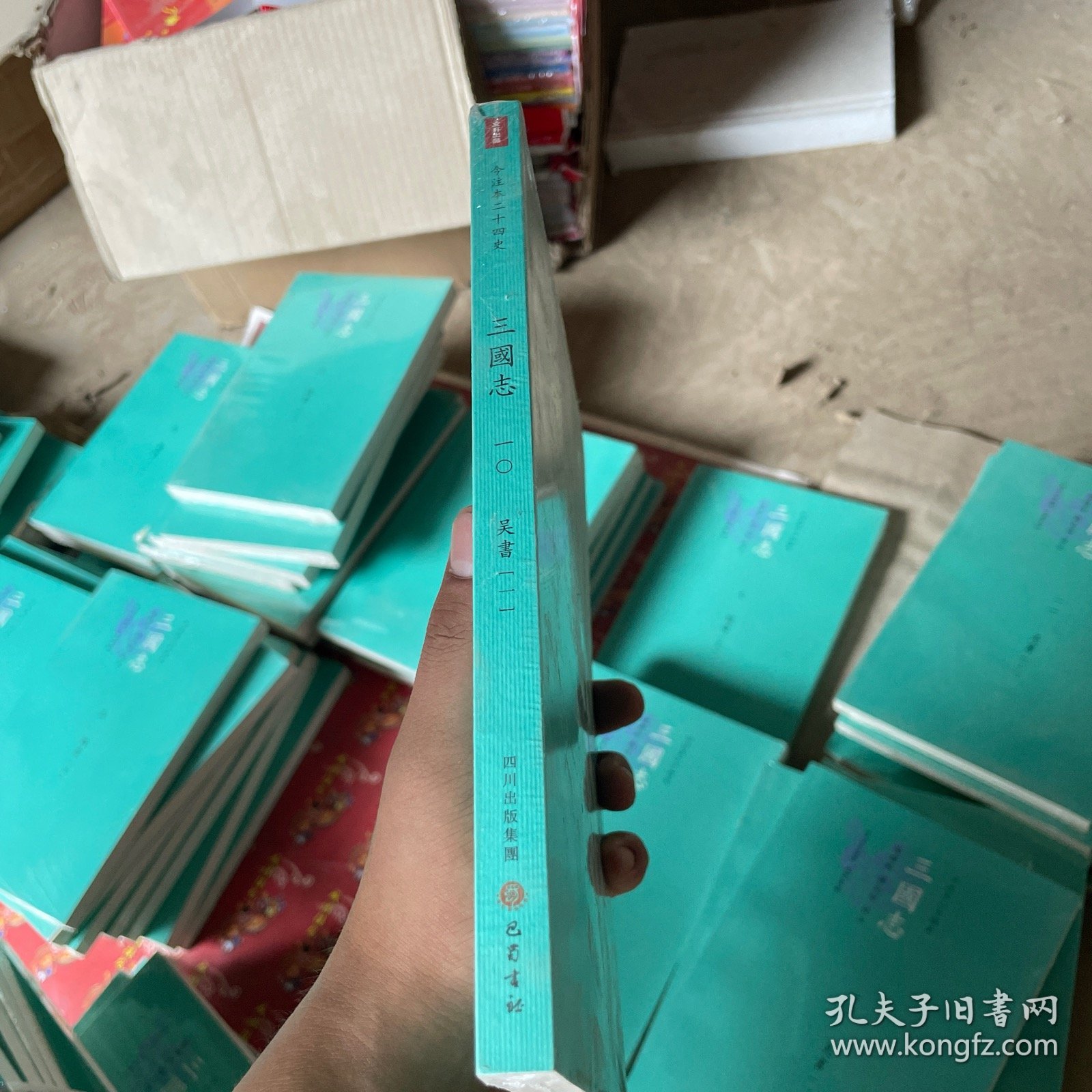 三国志：10 吴书一 繁体横排版 （今注本二十四史丛书）