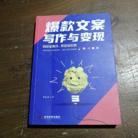 爆款文案写作与变现