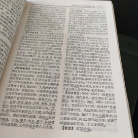 辞海 历史分册 (中国近代史)