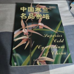 中国寒兰名品赏培