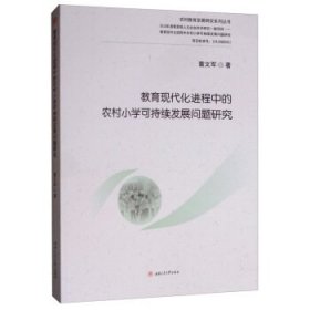 教育现代化进程中的农村小学可持续发展问题研究