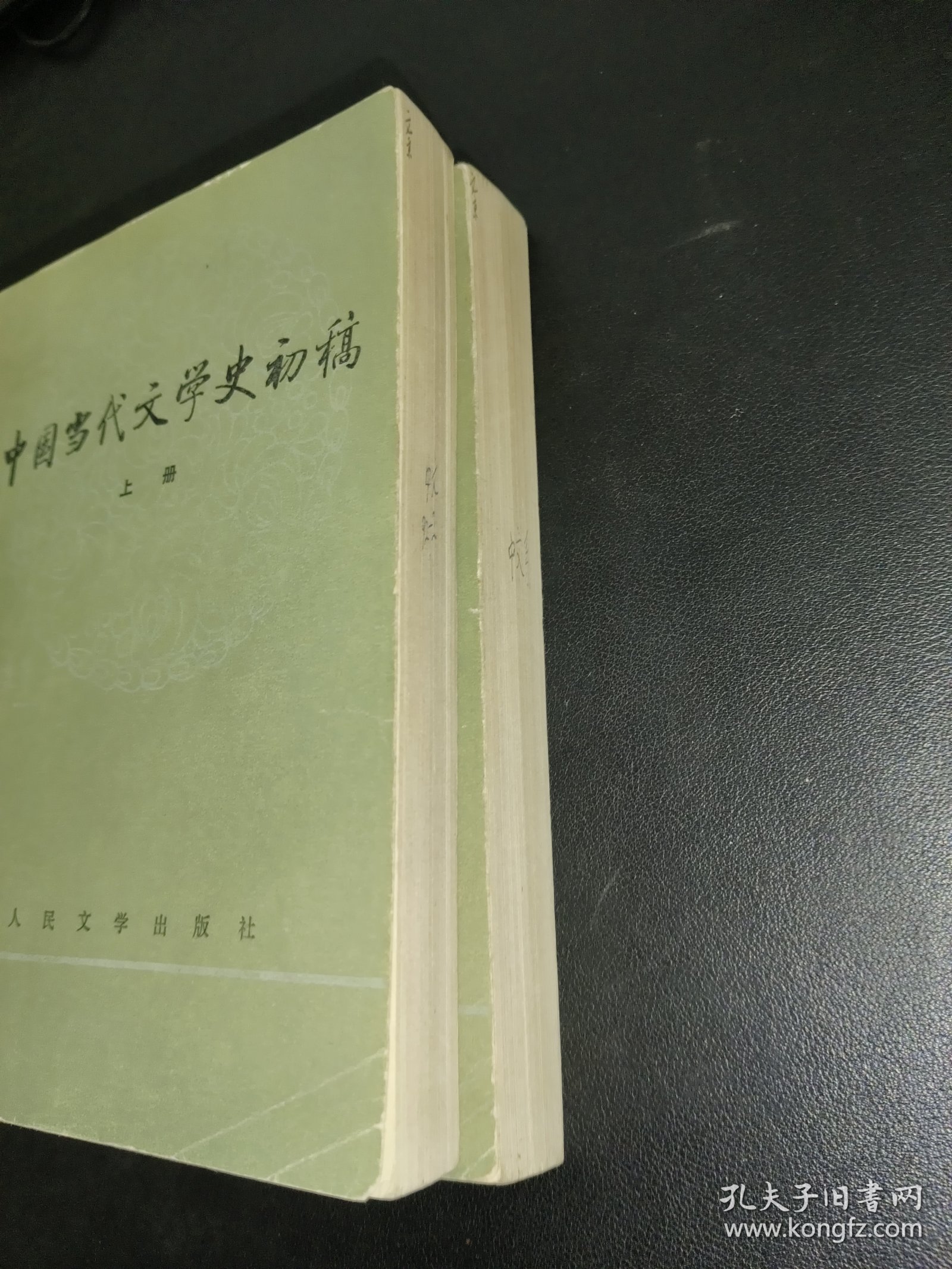 中国当代文学史初稿 上下