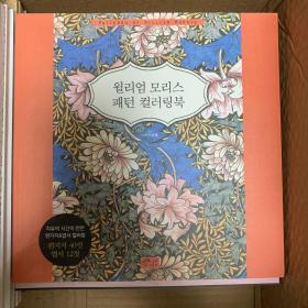 韩国正版进口秘密花园涂色书成人儿童涂鸦手绘涂色本涂色书16