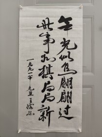 王儒林。11年10月出生于山东省莱芜市。55年9月被授予上校军衔。荣获中华人民共和国二级独立自由勋章、二级解放勋章。60年晋升为大校。88年7月被中央军委授予中国人民解放军独立功勋荣誉章。最高军职是中国人民解军解放军军事科学院战史部副军职研究员（副军级），根据军（副军）级、军种各部部长的资历，可授予少将军衔。因在88年中国人民解放军第二次授衔前业已离休，超过了授衔时效，故无授衔。因此谓无衔将军