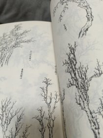 中国书画大系：芥子园画谱