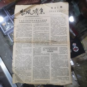 旧报纸；整风消息1957年7月17日星期3，是在哈哈镜里面看罗恩泽吗？等内容如图