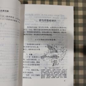 笼鸟的饲养与繁殖