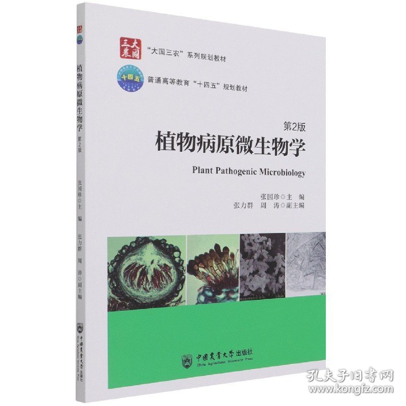 植物病原微生物学(第2版大国三农系列规划教材普通高等教育十四五规划教材)