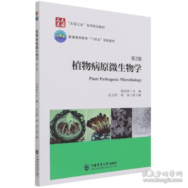 植物病原微生物学(第2版大国三农系列规划教材普通高等教育十四五规划教材)