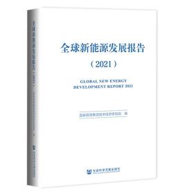 全球新能源发展报告（2021）