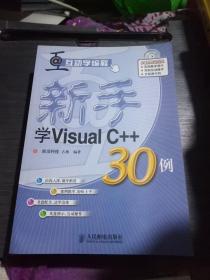 互动学编程:新手学(VisuaIFoxPr030例、visuaIBasic30例、DeⅠphi30例、Access30例、ⅤisuaIc十十30例)全套共五册合售无光盘