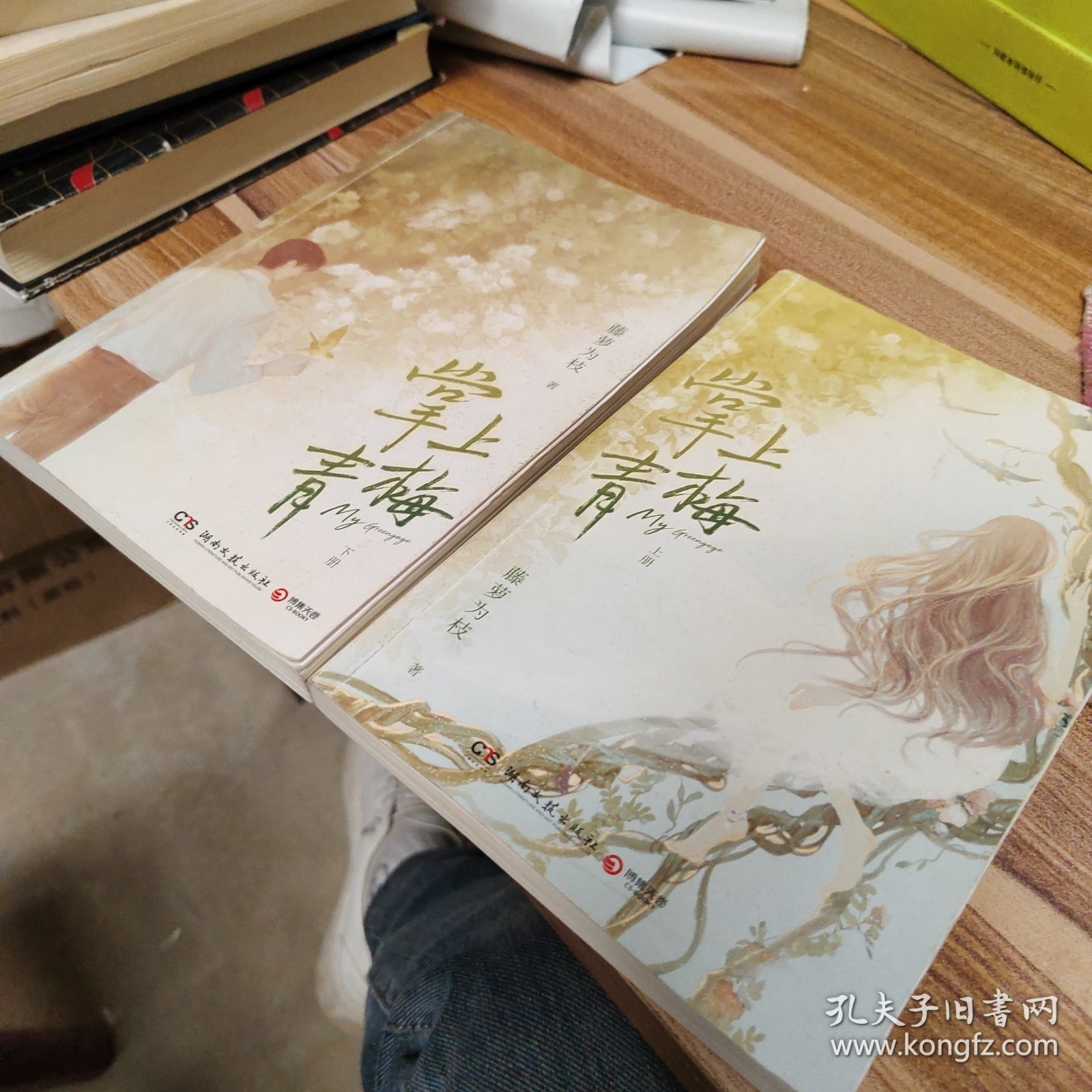 掌上青梅 全二册（畅销书作家藤萝为枝校园成长代表作，网络原名《娇软美人》。新增番外 《平行戏》，附赠《青梅》舞台剧票、相遇海报、应援手幅和高糖贴纸）