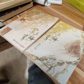 掌上青梅 全二册（畅销书作家藤萝为枝校园成长代表作，网络原名《娇软美人》。新增番外 《平行戏》，附赠《青梅》舞台剧票、相遇海报、应援手幅和高糖贴纸）