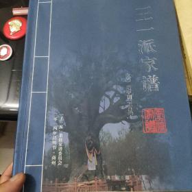 王一派家谱(商州)387面