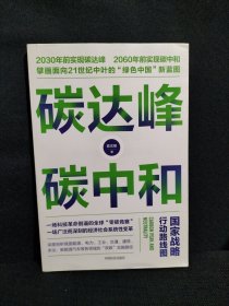 碳达峰碳中和：国家战略行动路线图 袁志刚 循环经济 低碳经济 环境气候