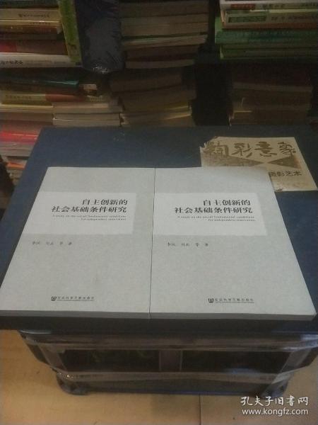 自主创新的社会基础条件研究