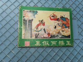 真假两猴王西游记连环画之十四