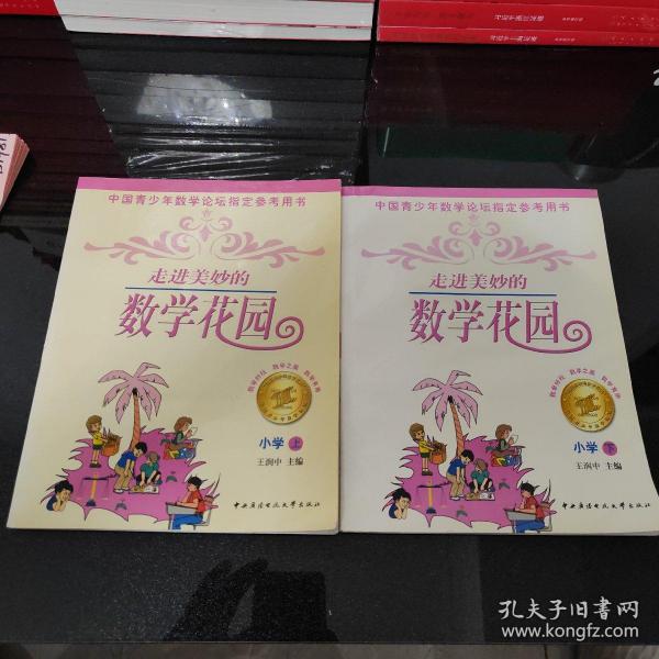 中国青少年数学论坛指定参考用书：走进美妙的数学花园（小学下册）