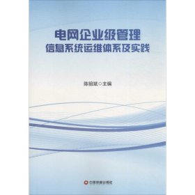 正版新书电网企业级管理信息系统运维体系及实践陈祖斌 主编