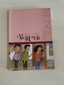 宝贝当家-著名儿童文学作家秦文君中篇力作精选