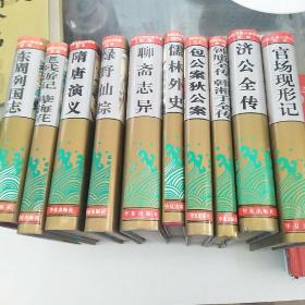 中国古典小说名著百部(十册)