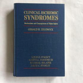 现货 Clinical Ischemic Syndromes Mechanisms and Consequences of Tissue Injury  精装 库存书
