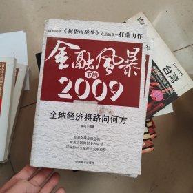 金融风暴下的2009