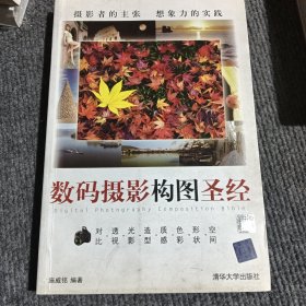 数码摄影构图圣经