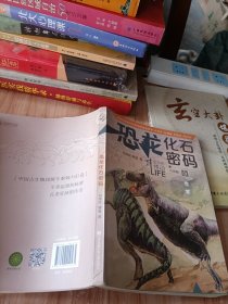 恐龙化石密码