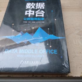 数据中台：让数据用起来