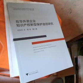 在华外资企业知识产权新型保护途径研究