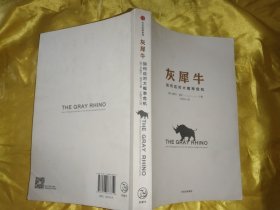 灰犀牛：如何应对大概率危机