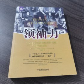 领袖力：24位世界顶级商界领袖的行动法则