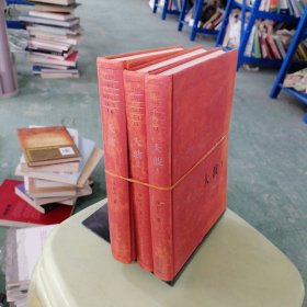 大波 3本合售