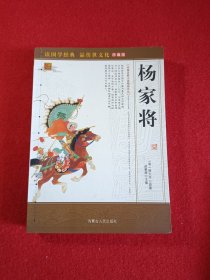 杨家将（熊大木·明）