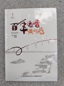 百年逸香黄焖鸡(精)/Y2