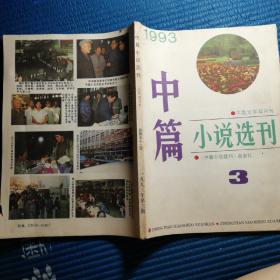 中篇小说选刊1993 3