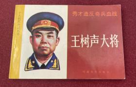 十大将军传记丛书全十册（品好）32开