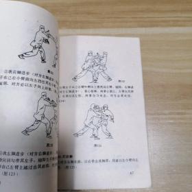少林二十四腿三十六手